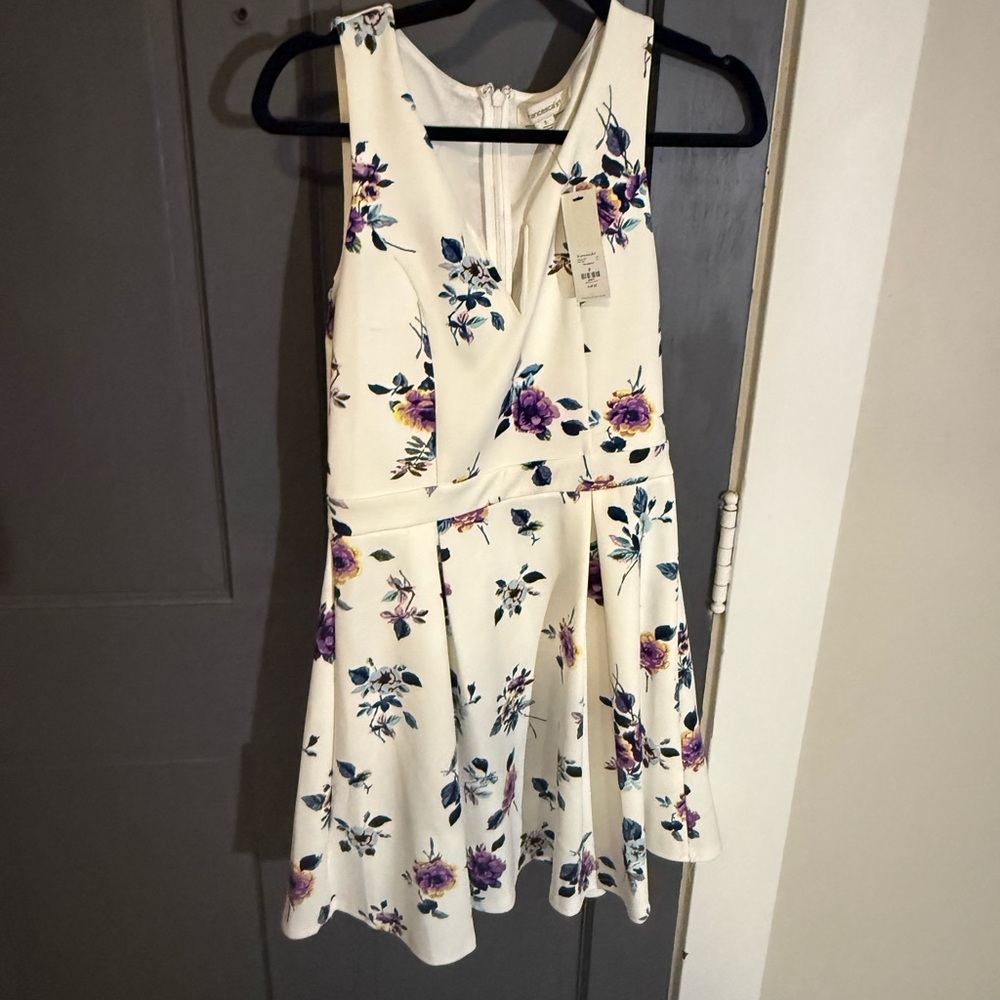 francesca's Cream Dress with Blue and Purple Floral Print